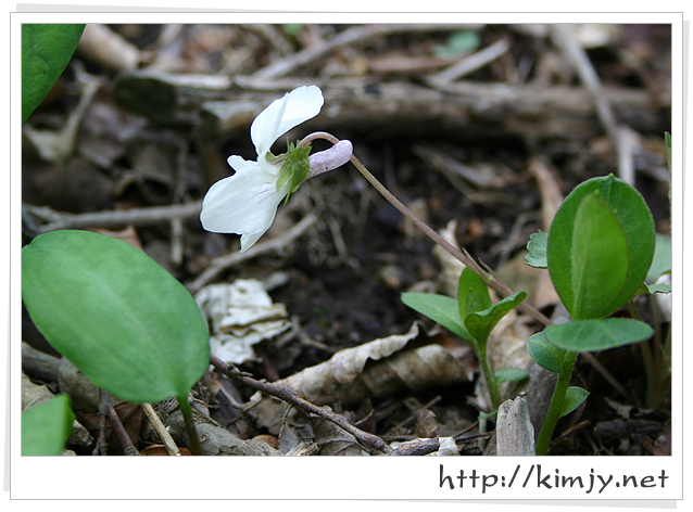 080420_궁금1_1.jpg
