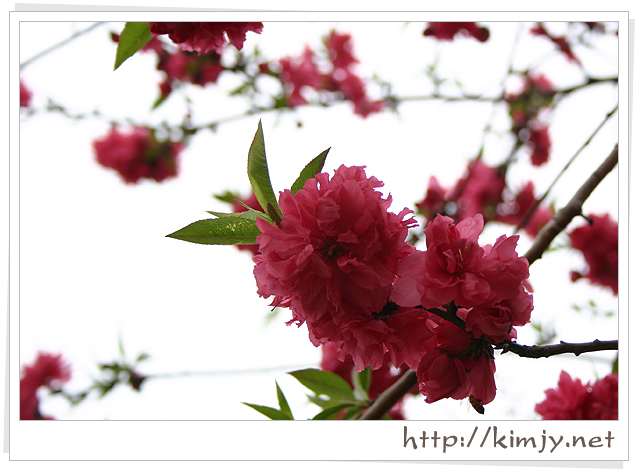 080420_궁금4_1.jpg